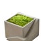Cement Cube Planter Set Square Concrete Planters for Indoor Plants 6.75"